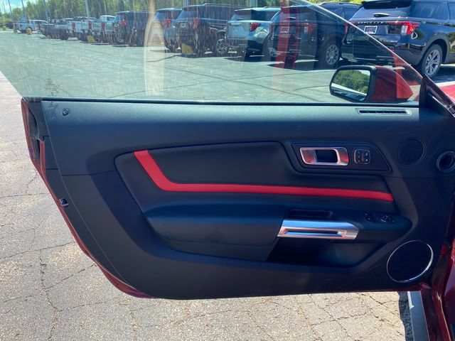Used 2019 Ford Mustang GT Premium w/ Equipment Group 401A RWD image 16