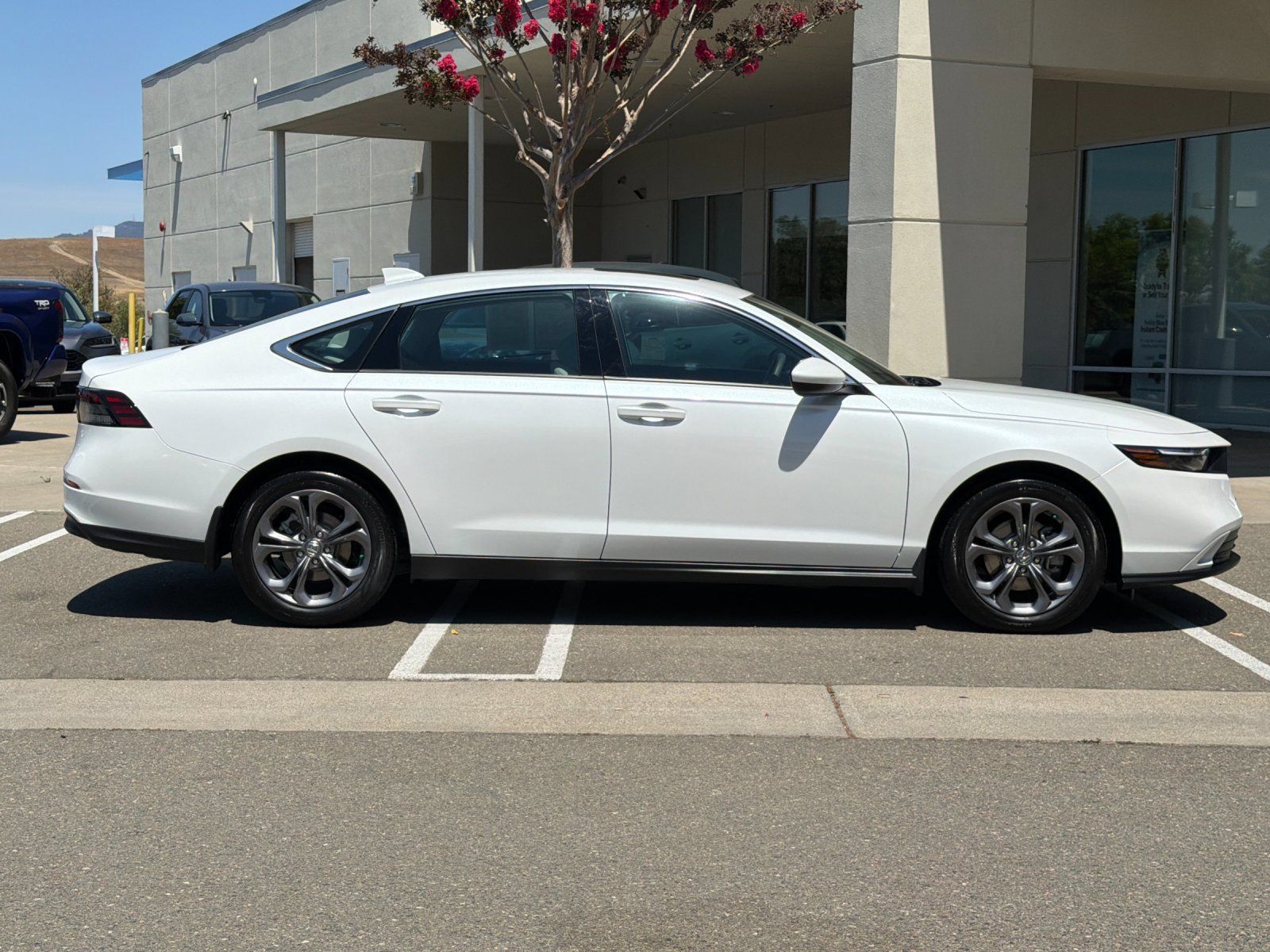 Used 2024 Honda Accord EX image 7