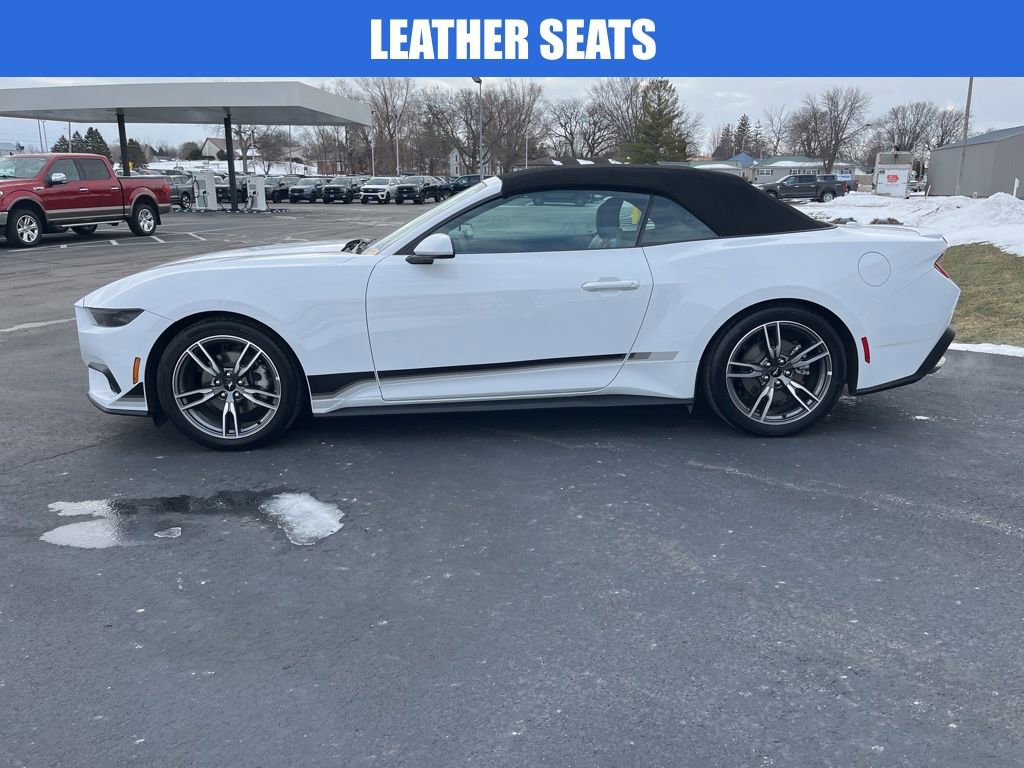 Used 2025 Ford Mustang Premium w/ Wheel & Stripe Package image 7