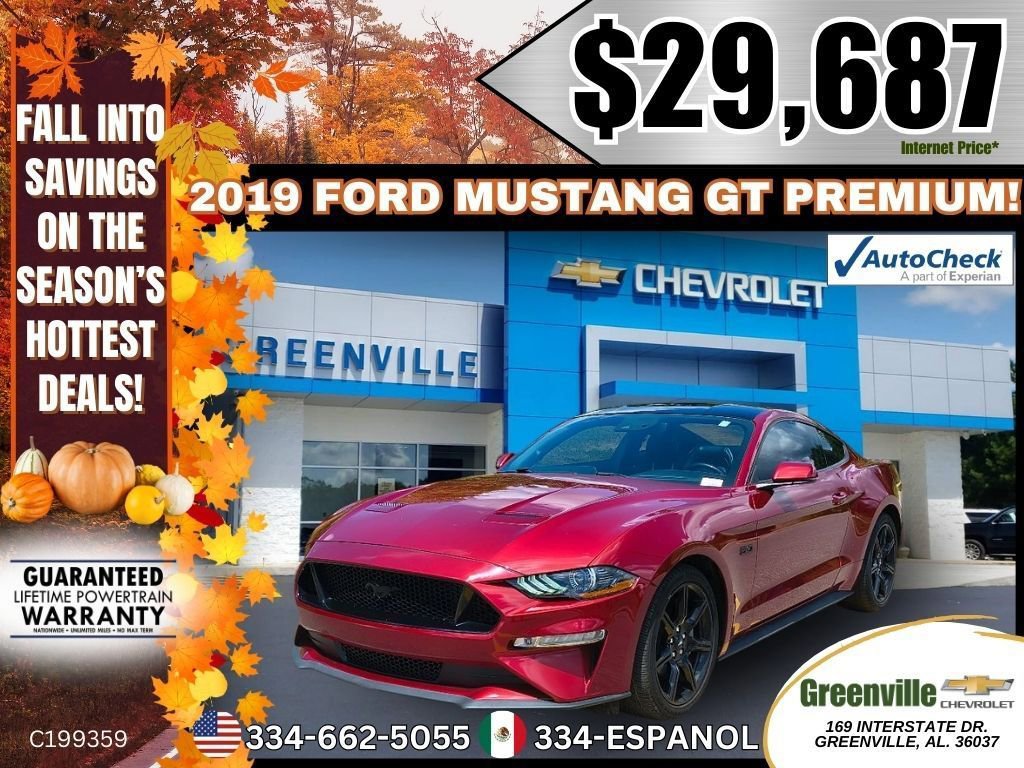 Used 2019 Ford Mustang GT Premium w/ Equipment Group 401A