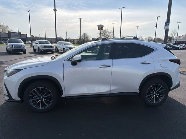 Used 2024 Lexus NX 350h 350h Base w/ Cold Area Package image 3
