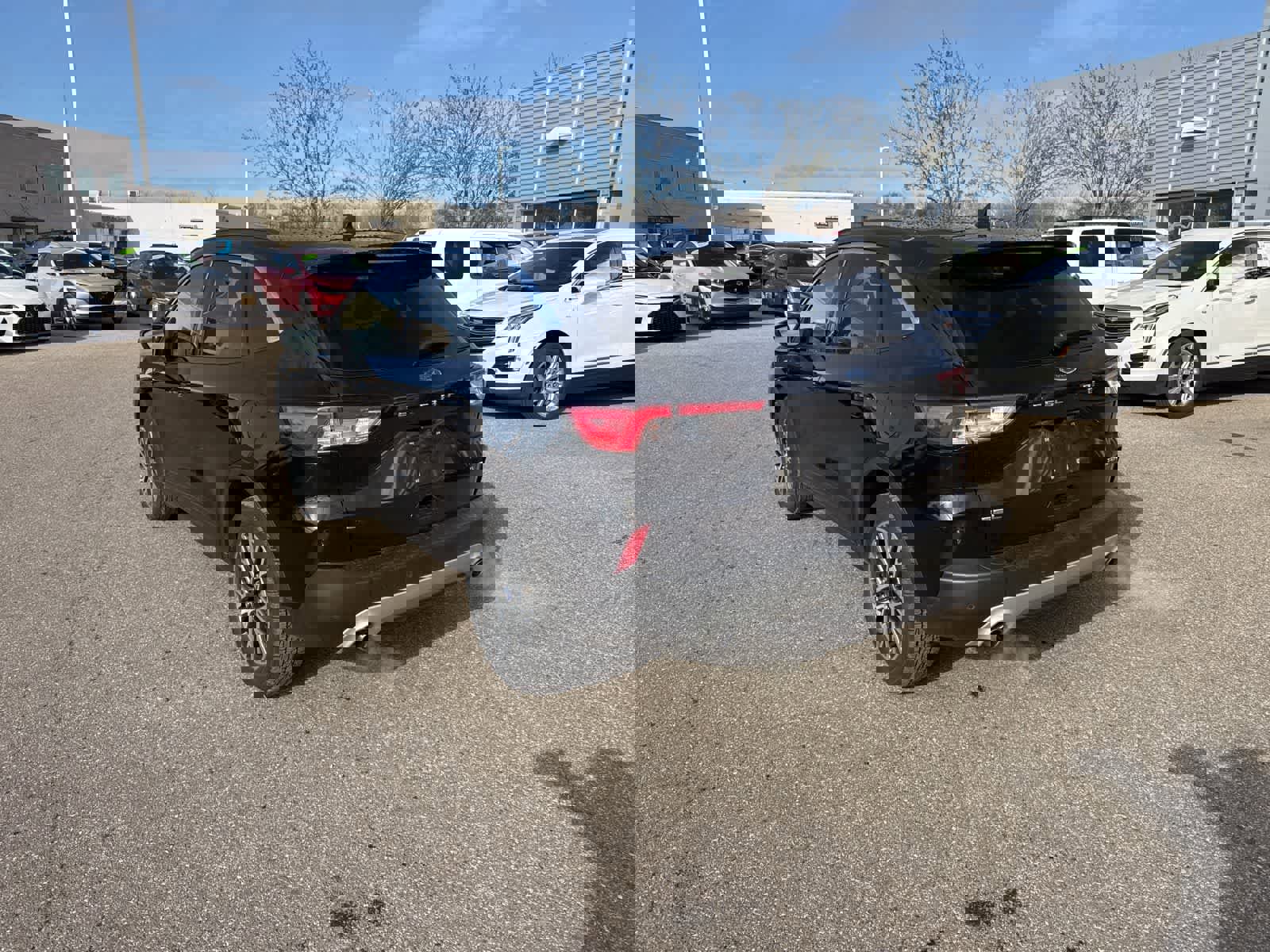 Used 2020 Ford Escape SEL image 7