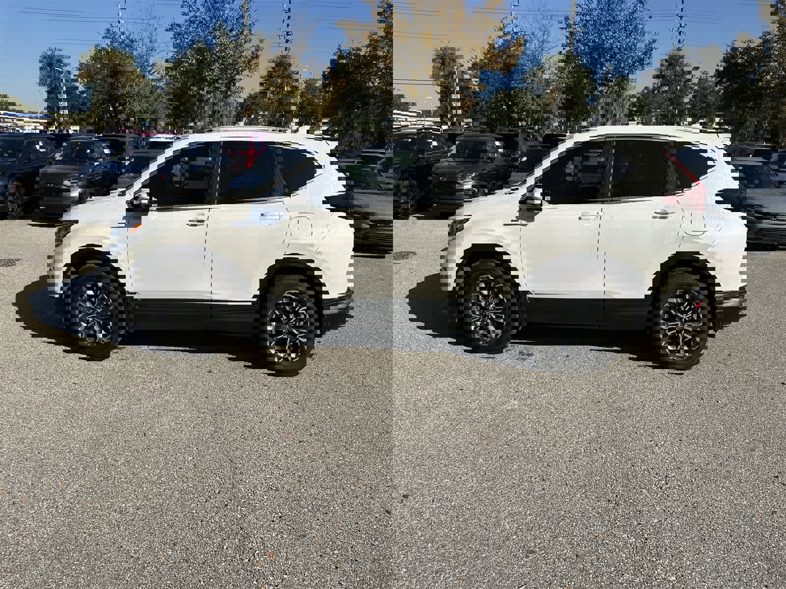 Used 2022 Honda CR-V EX-L image 3