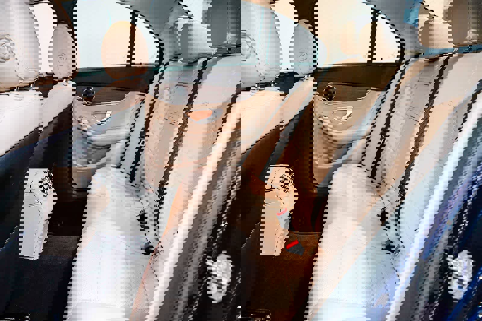 Used 2020 Mercedes-Benz C 300 Sedan image 18