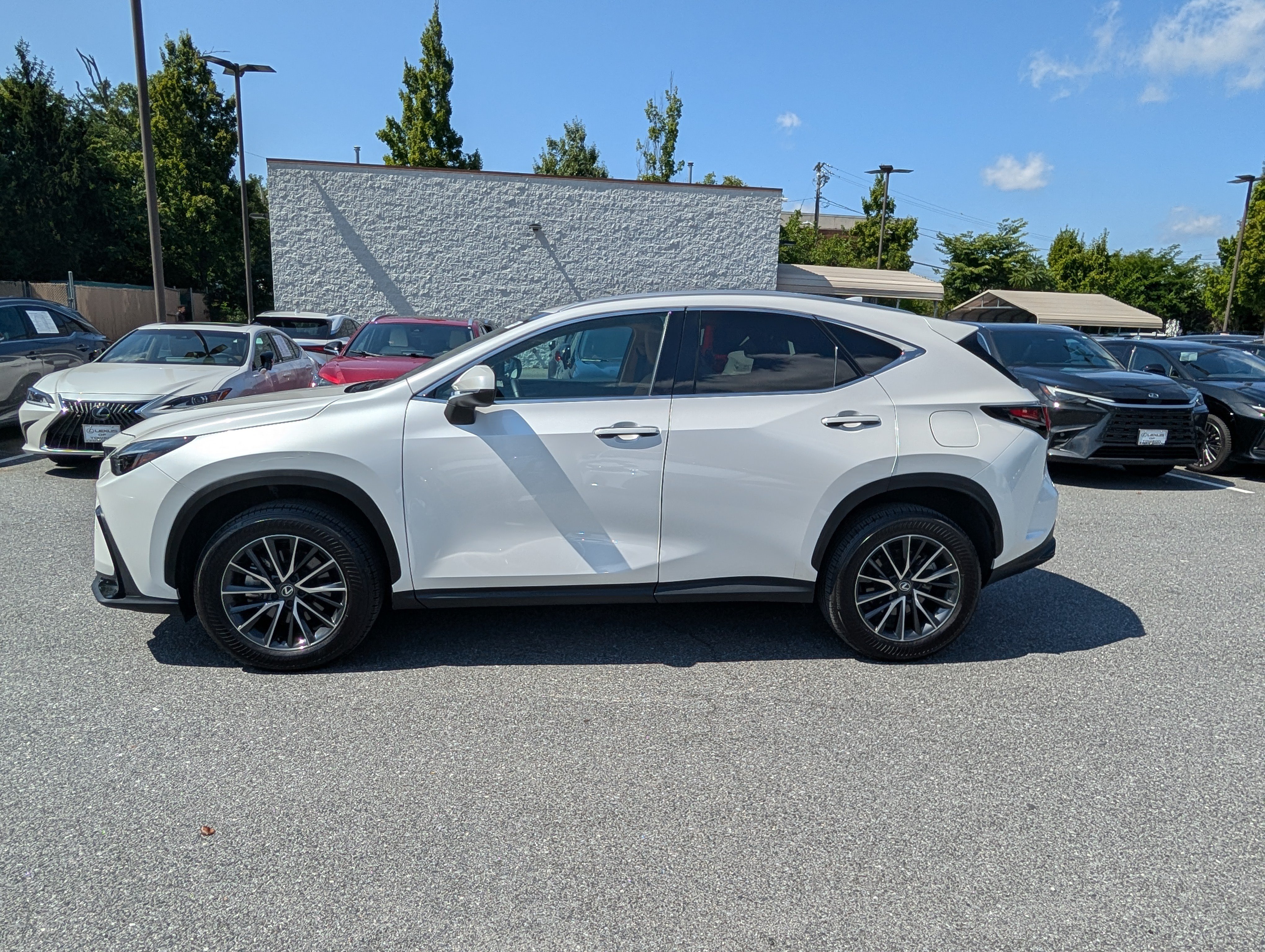 Certified 2025 Lexus NX 350 AWD w/ Cold Area Package image 6
