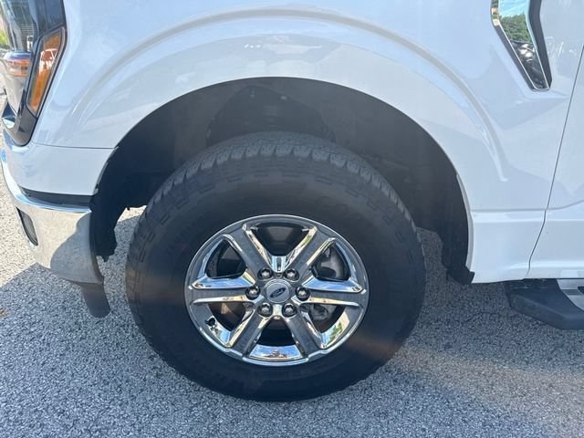 Used 2025 Ford F150 XLT w/ Equipment Group 301A Standard AWD/4WD image 9