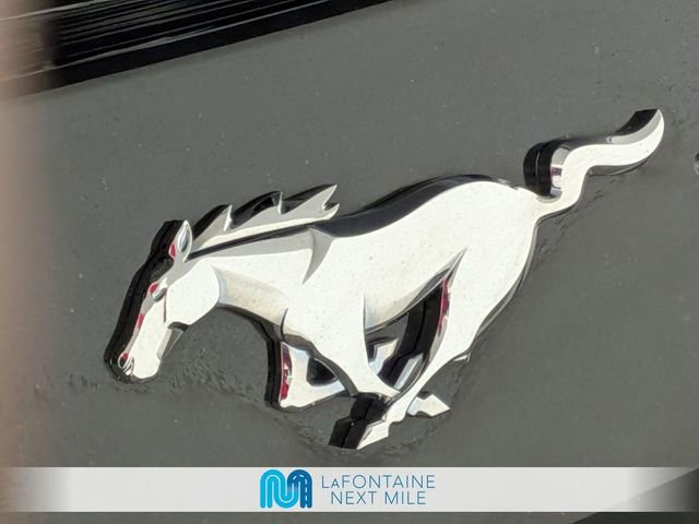 Used 2021 Ford Mustang Premium RWD image 9