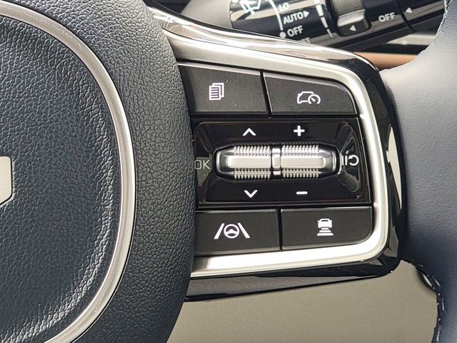 New 2026 Kia Carnival SX Prestige image 33