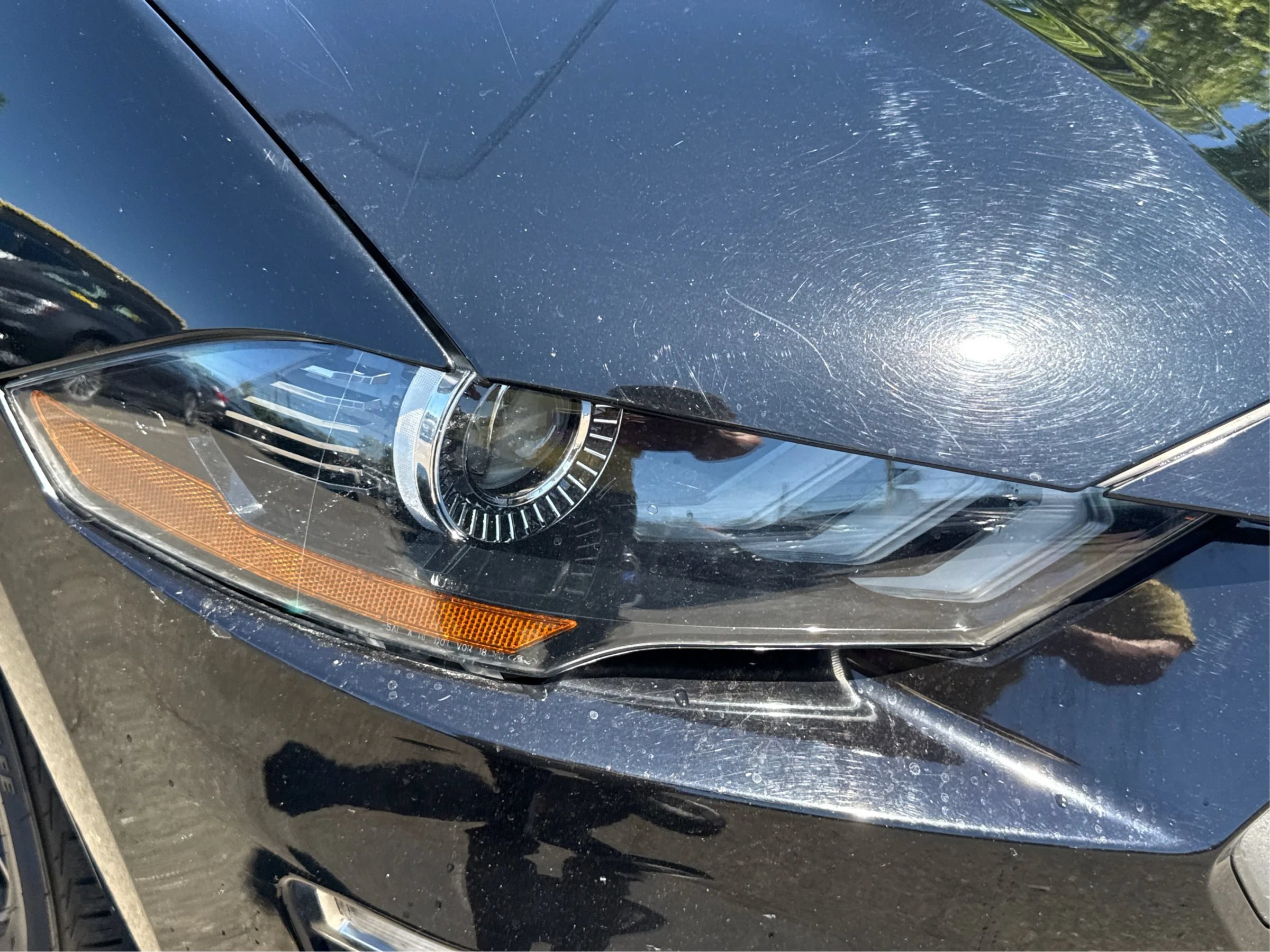Used 2019 Ford Mustang Premium RWD image 26