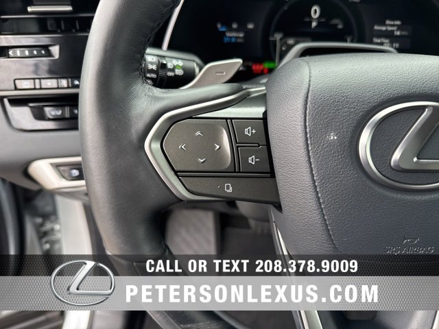 Certified 2025 Lexus RX 350 image 25