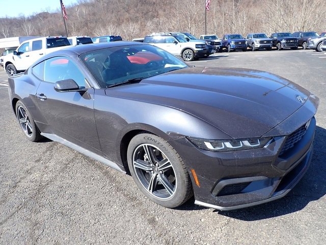 Used 2024 Ford Mustang Premium image 7