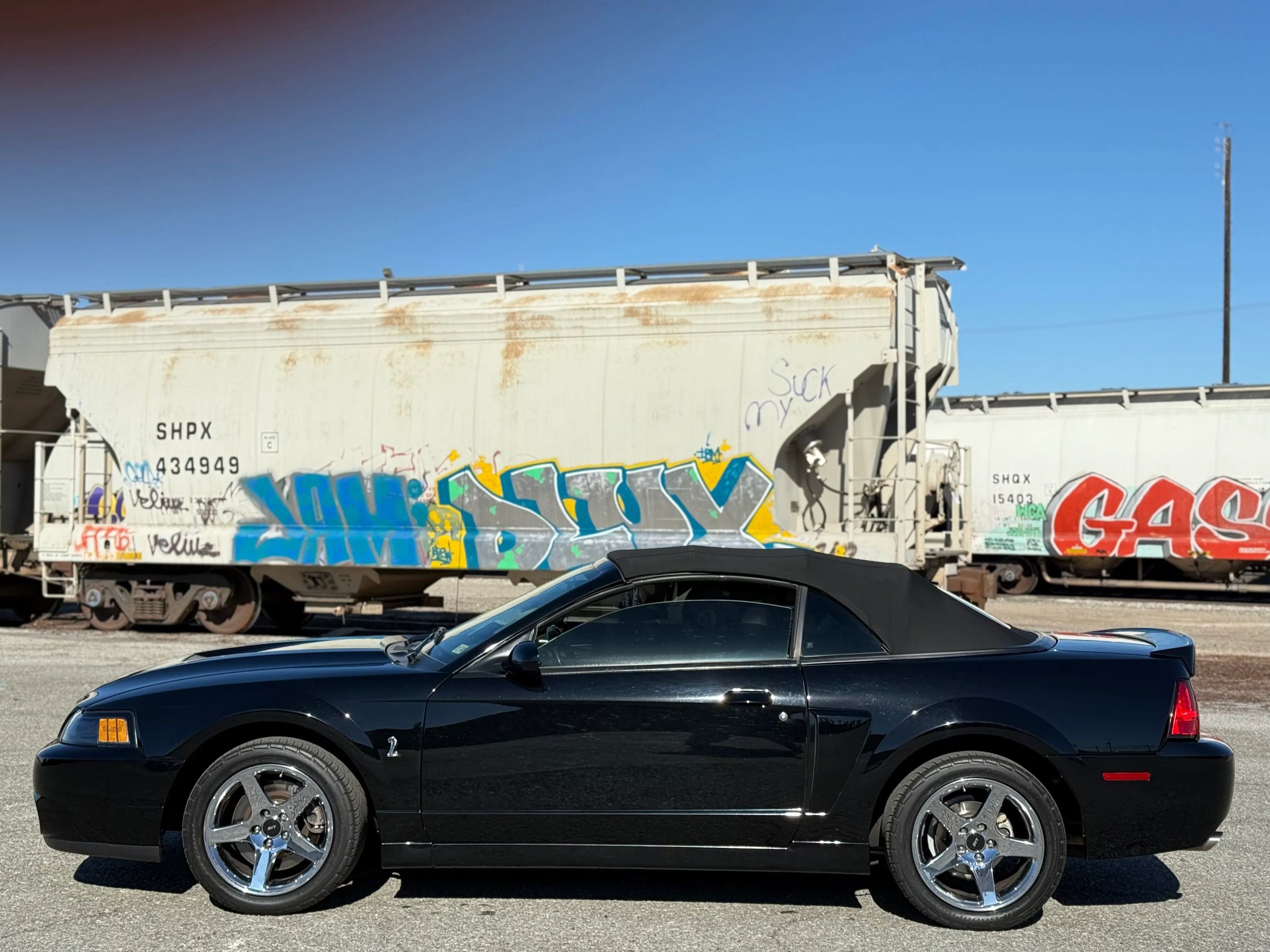 Used 2004 Ford Mustang Cobra image 5