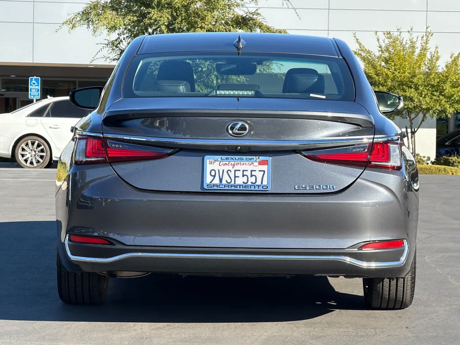 Certified 2025 Lexus ES 300h w/ Premium Package FWD image 8