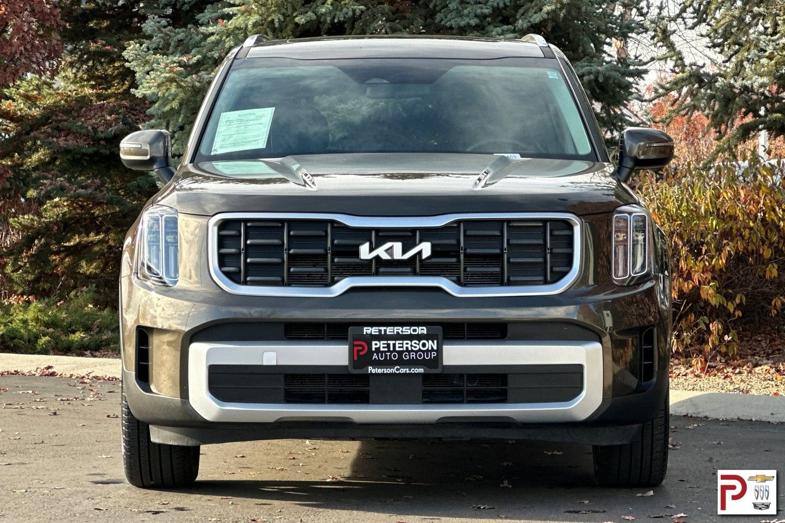 Used 2025 Kia Telluride S image 9