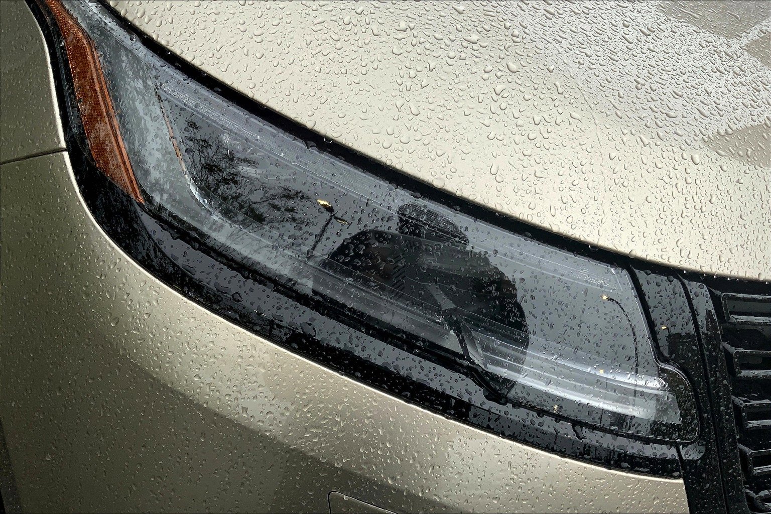 New 2026 Land Rover Range Rover Velar Dynamic SE image 13