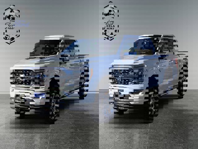 Certified 2021 Ford F150 Platinum w/ Equipment Group 701A High