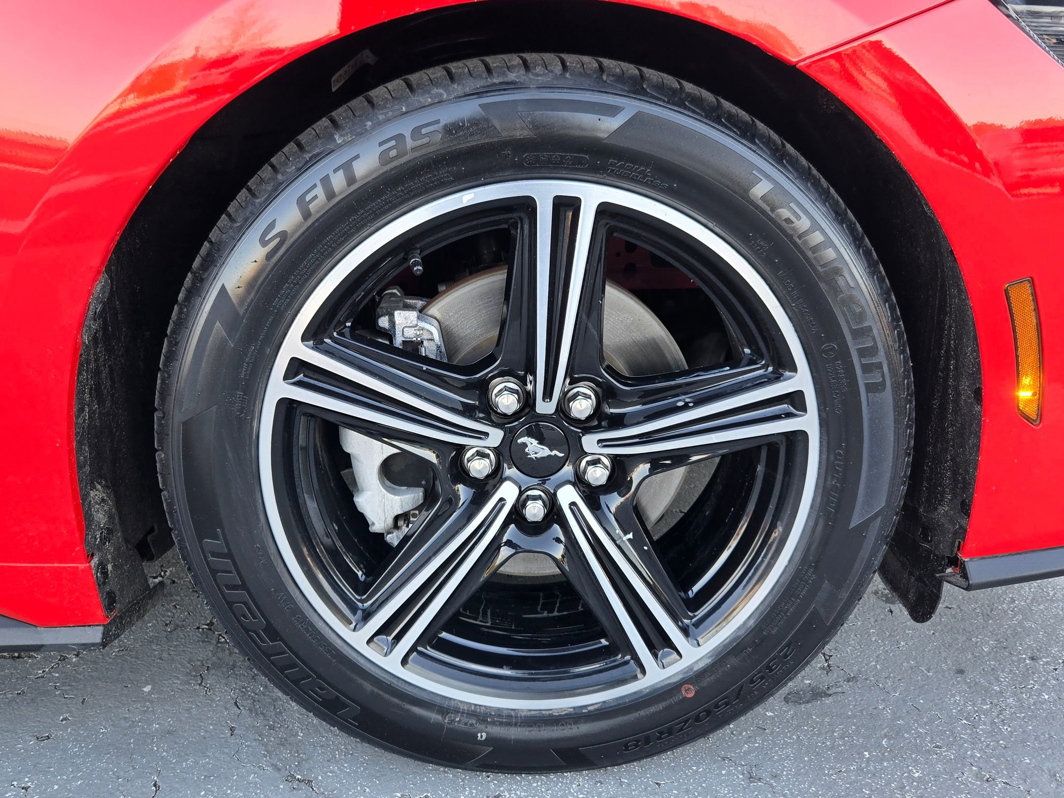 Used 2024 Ford Mustang Premium image 9