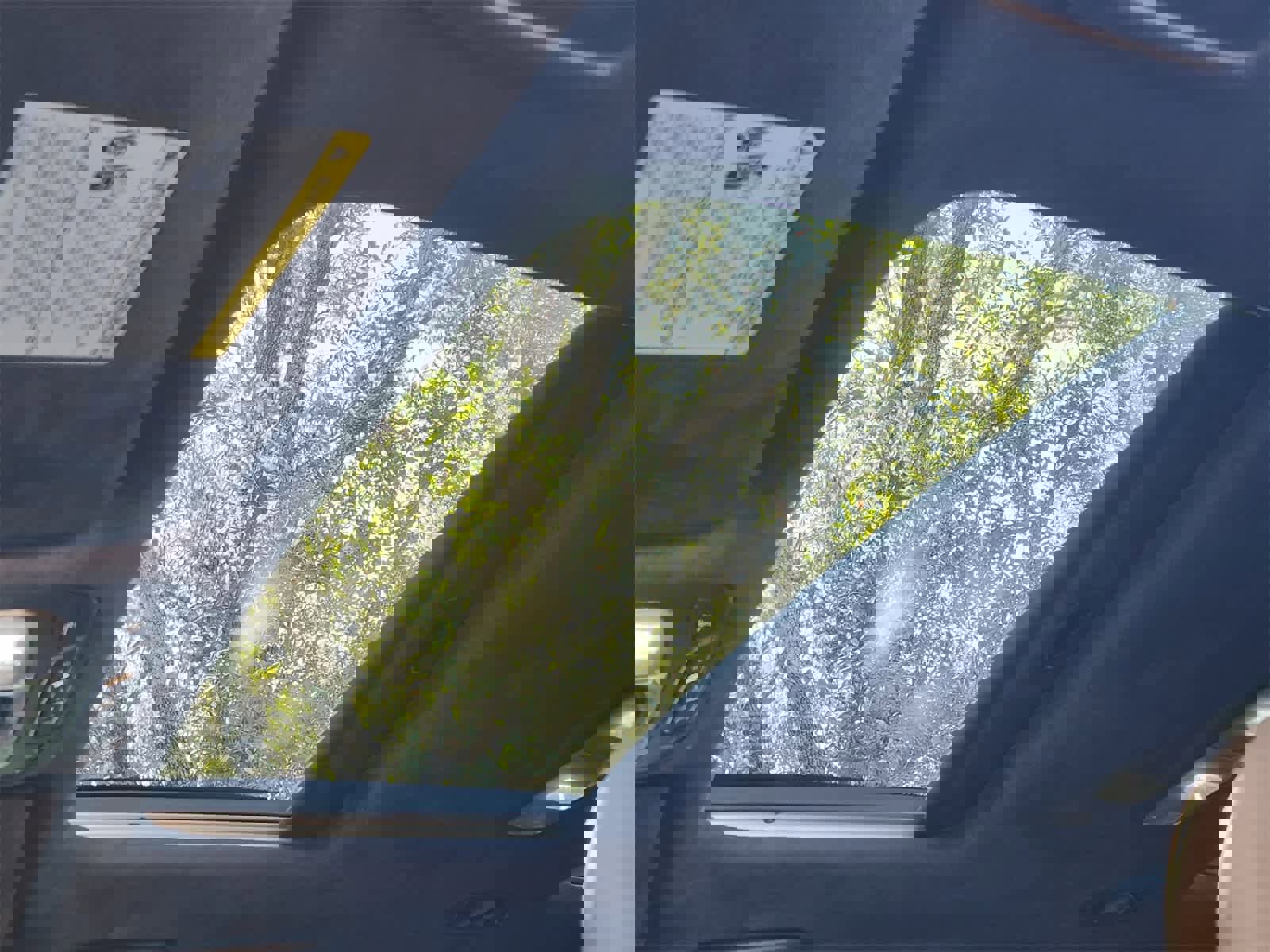 Used 2022 Kia Telluride SX w/ SX Prestige Package image 24