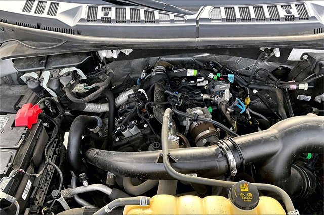 Used 2019 Ford F150 XLT w/ Equipment Group 301A Mid image 32