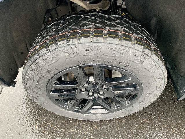 Certified 2022 Chevrolet Silverado 1500 LT Trail Boss AWD/4WD image 31