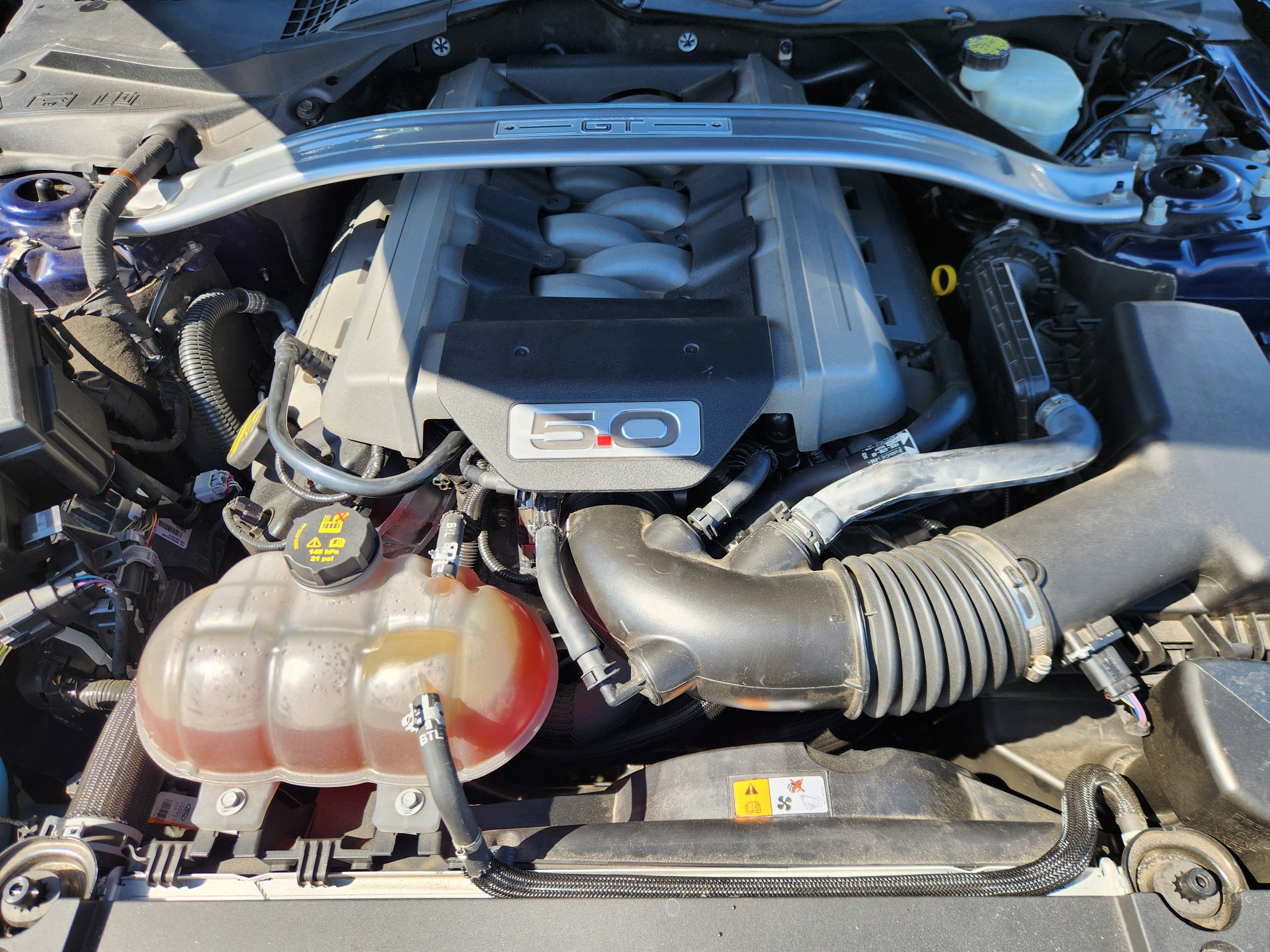 Used 2015 Ford Mustang 50 Years image 18