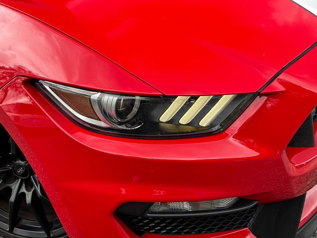 Used 2017 Ford Mustang Shelby GT350 w/ Electronics Package image 6