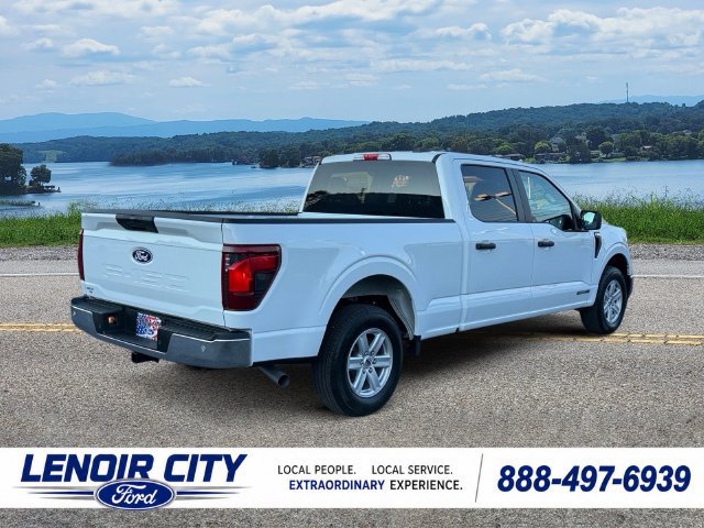 Used 2026 Ford F150 XL w/ Equipment Group 104A Hybrid RWD image 3