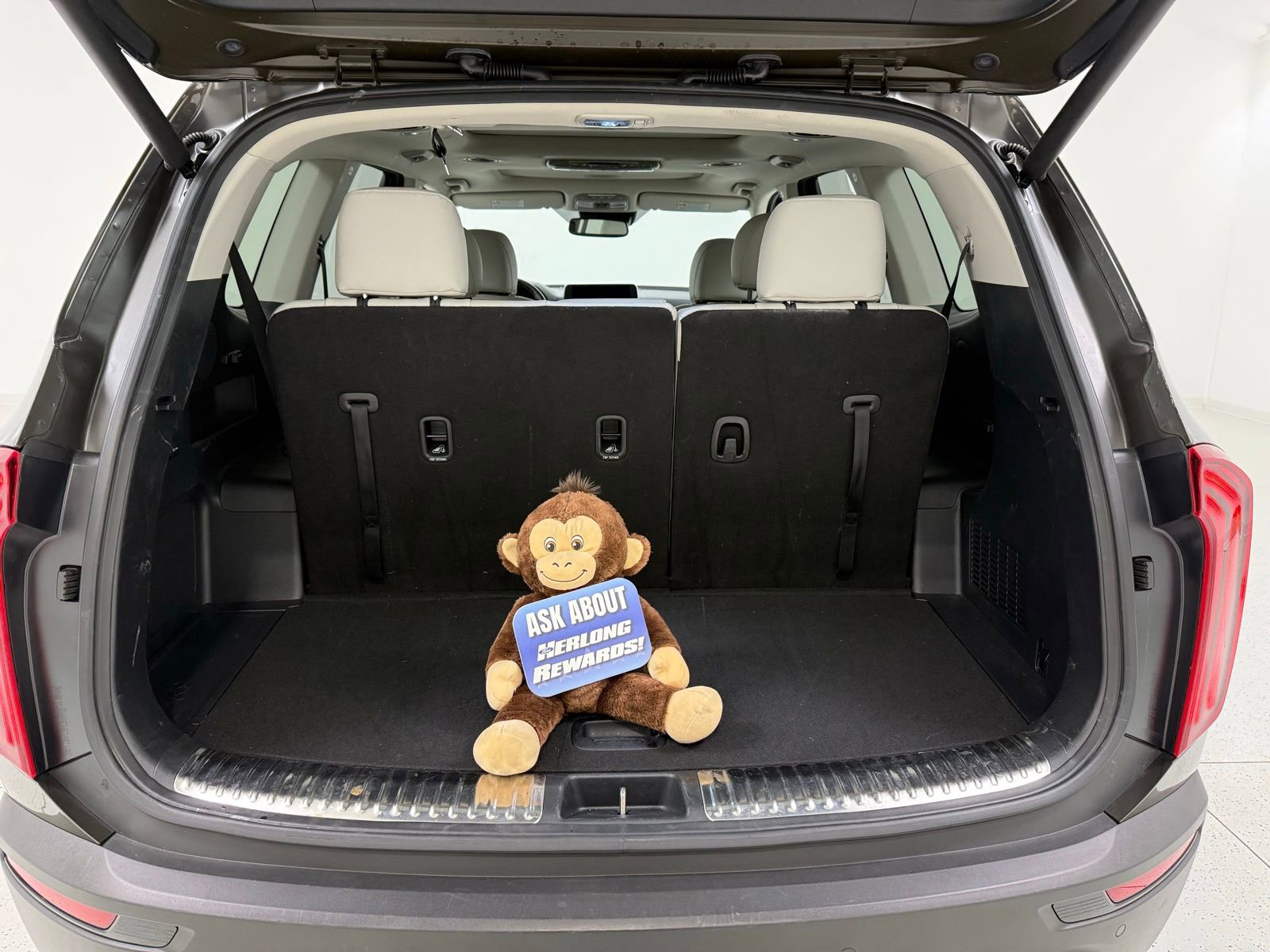 Used 2022 Kia Telluride SX w/ Towing Package image 8