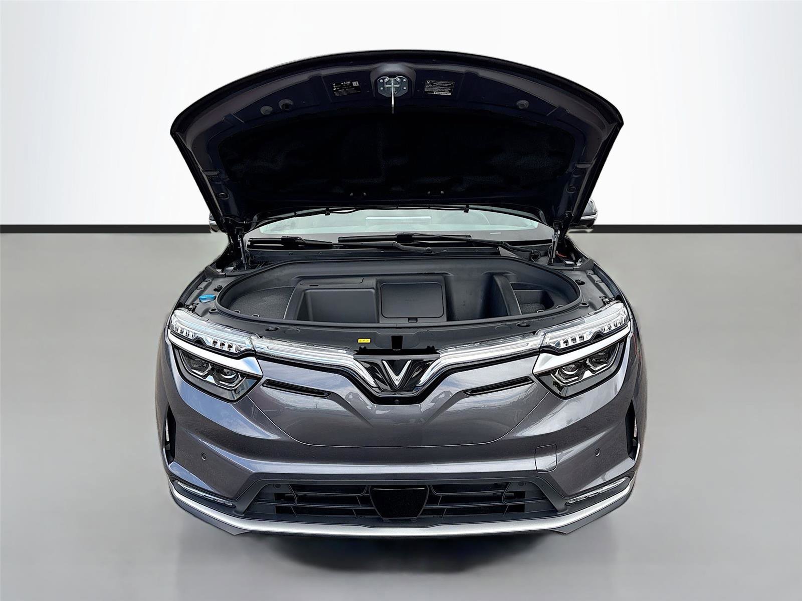 New 2025 VinFast VF 8 Eco image 32