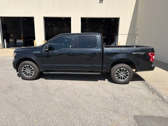 Used 2019 Ford F150 XLT w/ Equipment Group 302A Luxury AWD/4WD image 7
