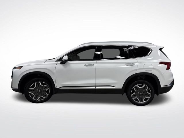 Used 2023 Hyundai Santa Fe SEL Premium image 14