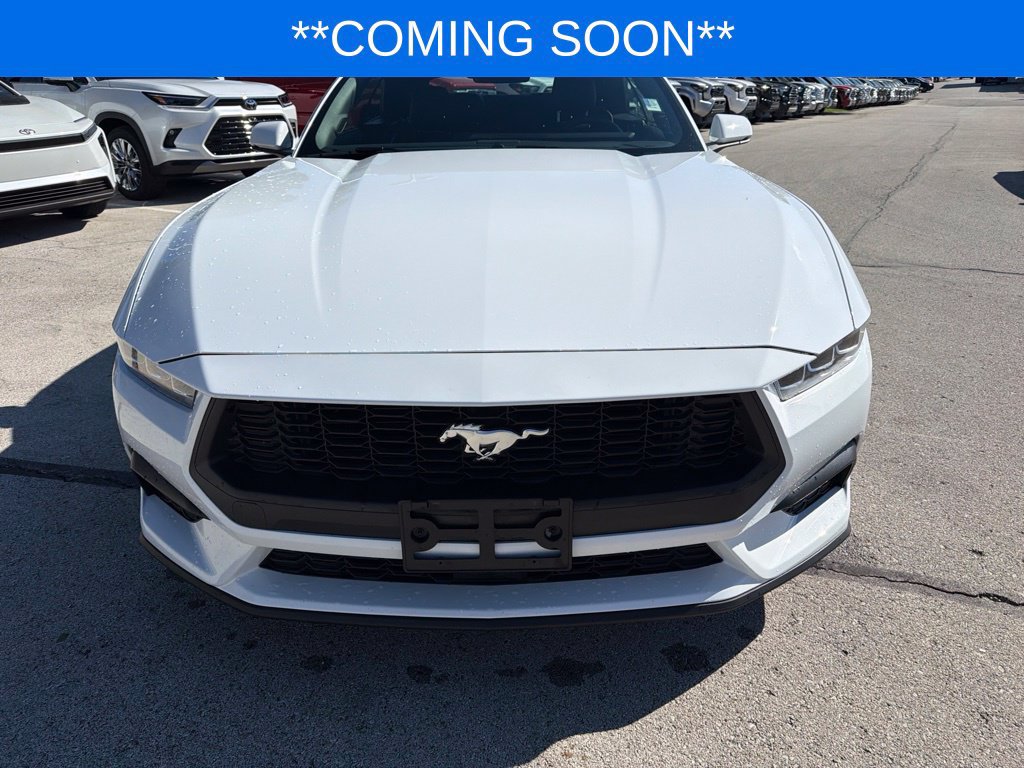 Used 2024 Ford Mustang Premium RWD image 2