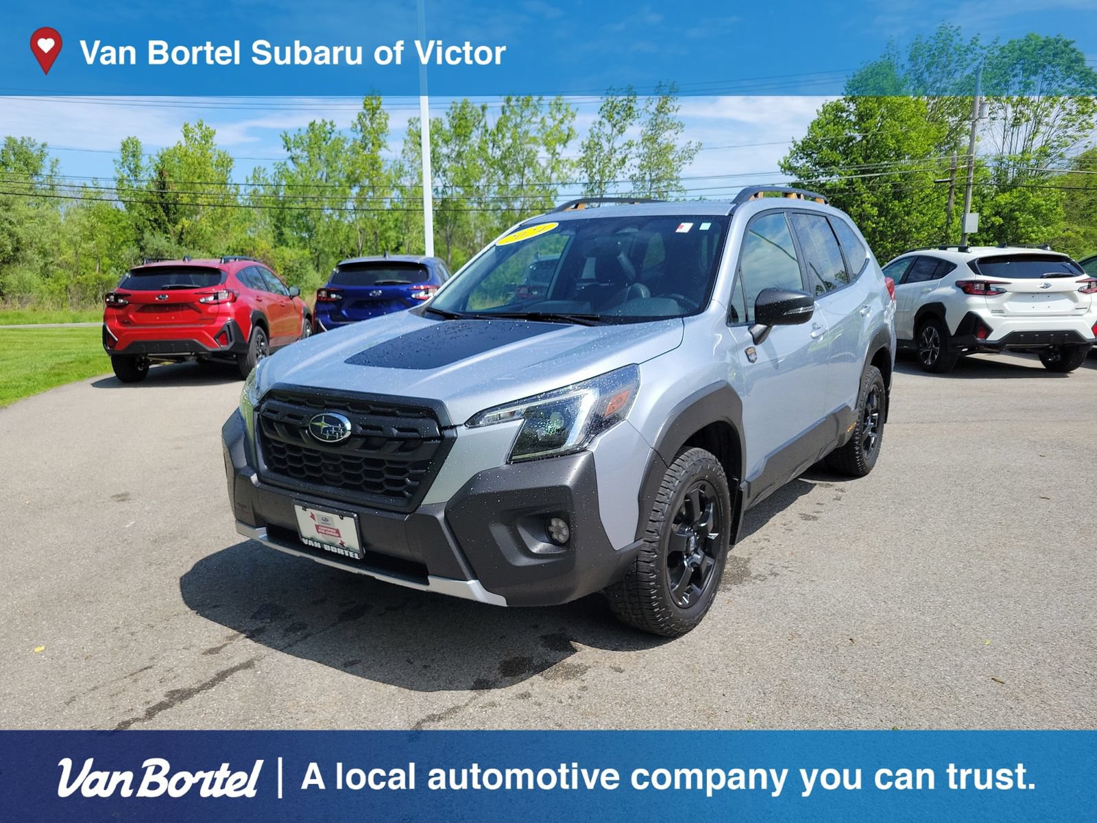 Used 2024 Subaru Forester Wilderness w/ Wilderness Package AWD/4WD image 1