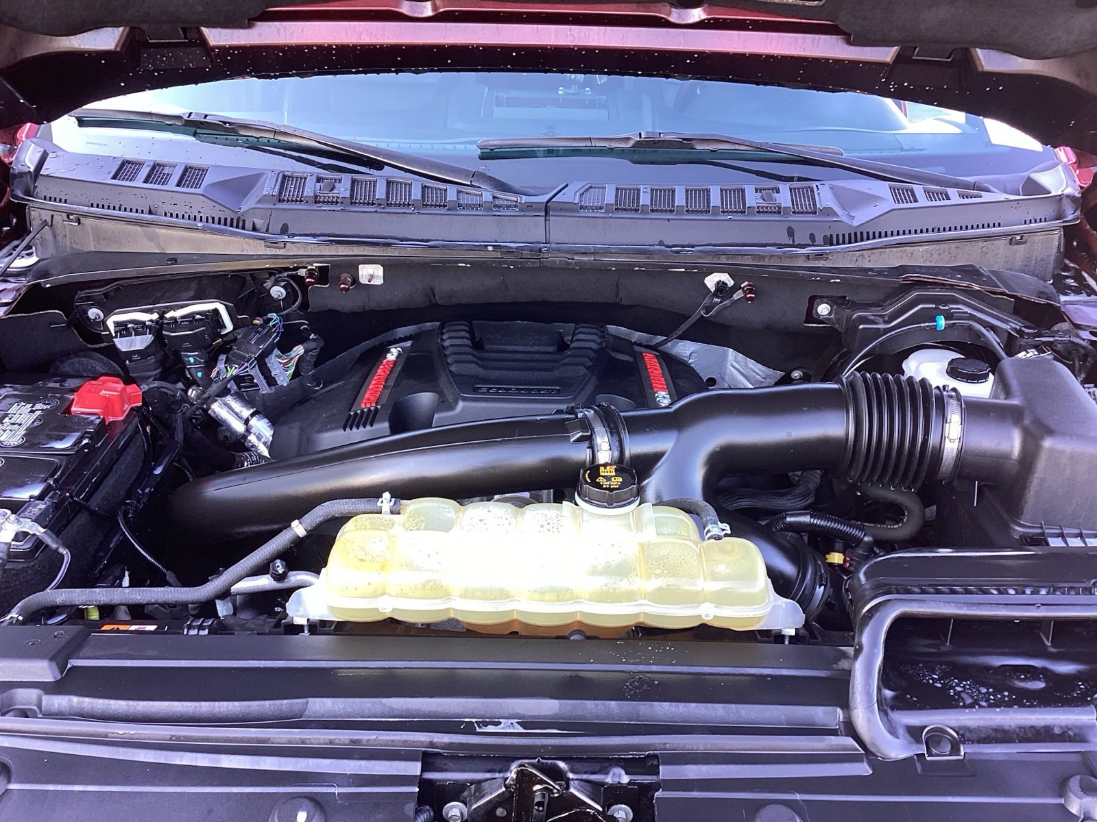 Used 2020 Ford F150 Raptor w/ Equipment Group 801A Mid image 5