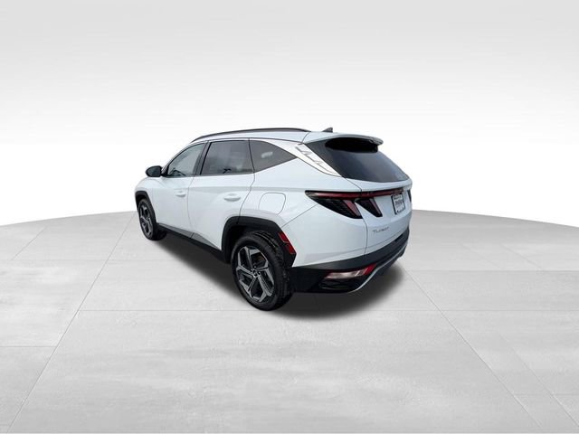 Used 2022 Hyundai Tucson Limited image 7