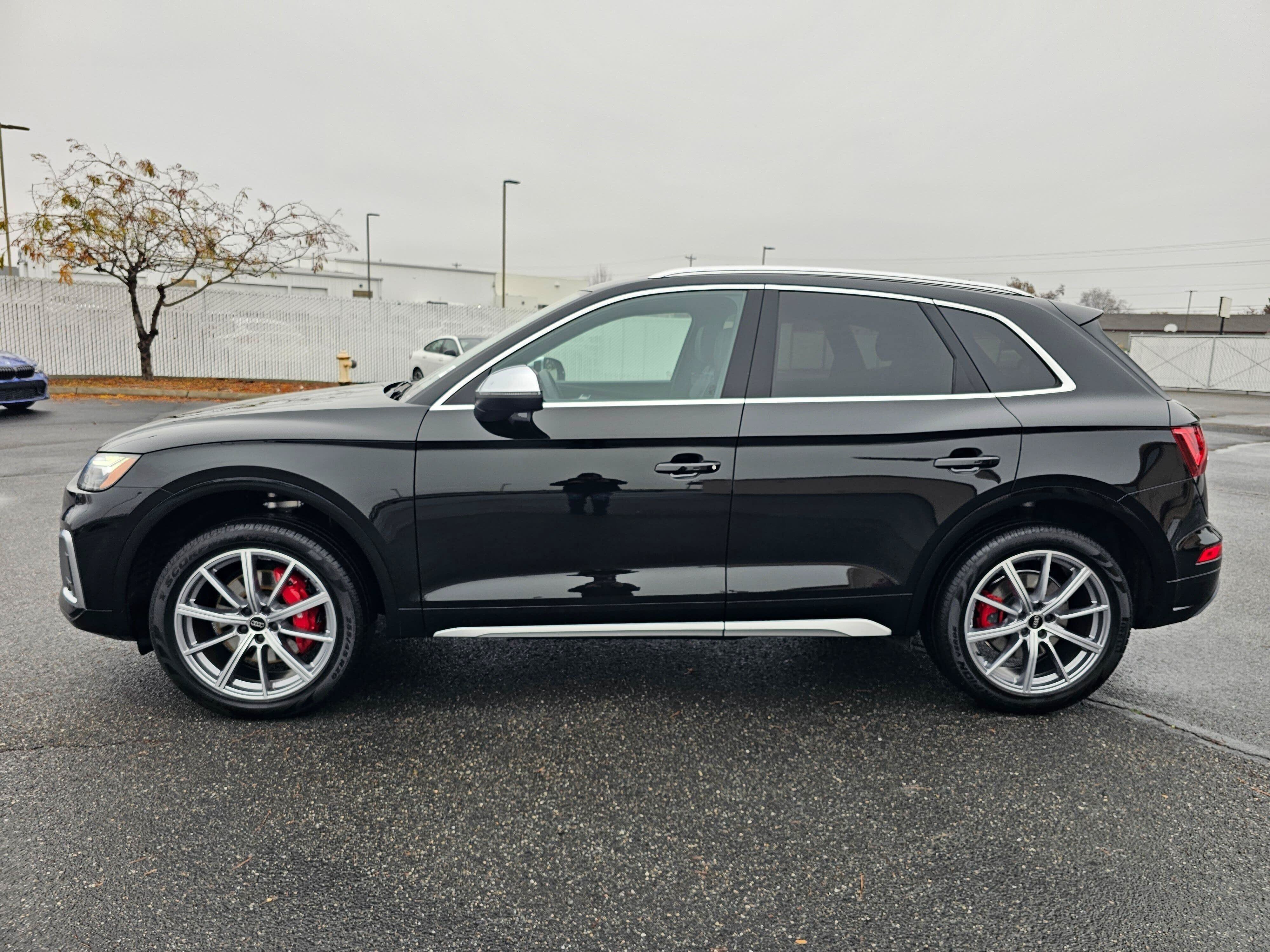 Certified 2025 Audi SQ5 Premium Plus w/ Premium Plus Package AWD/4WD image 3