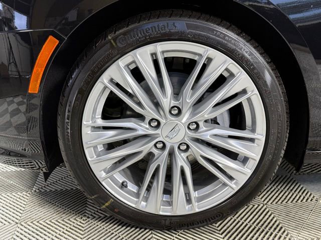 New 2025 Cadillac CT4 Premium Luxury image 12