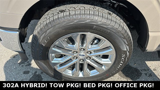 New 2025 Ford F150 XLT w/ Equipment Group 302A MID image 34