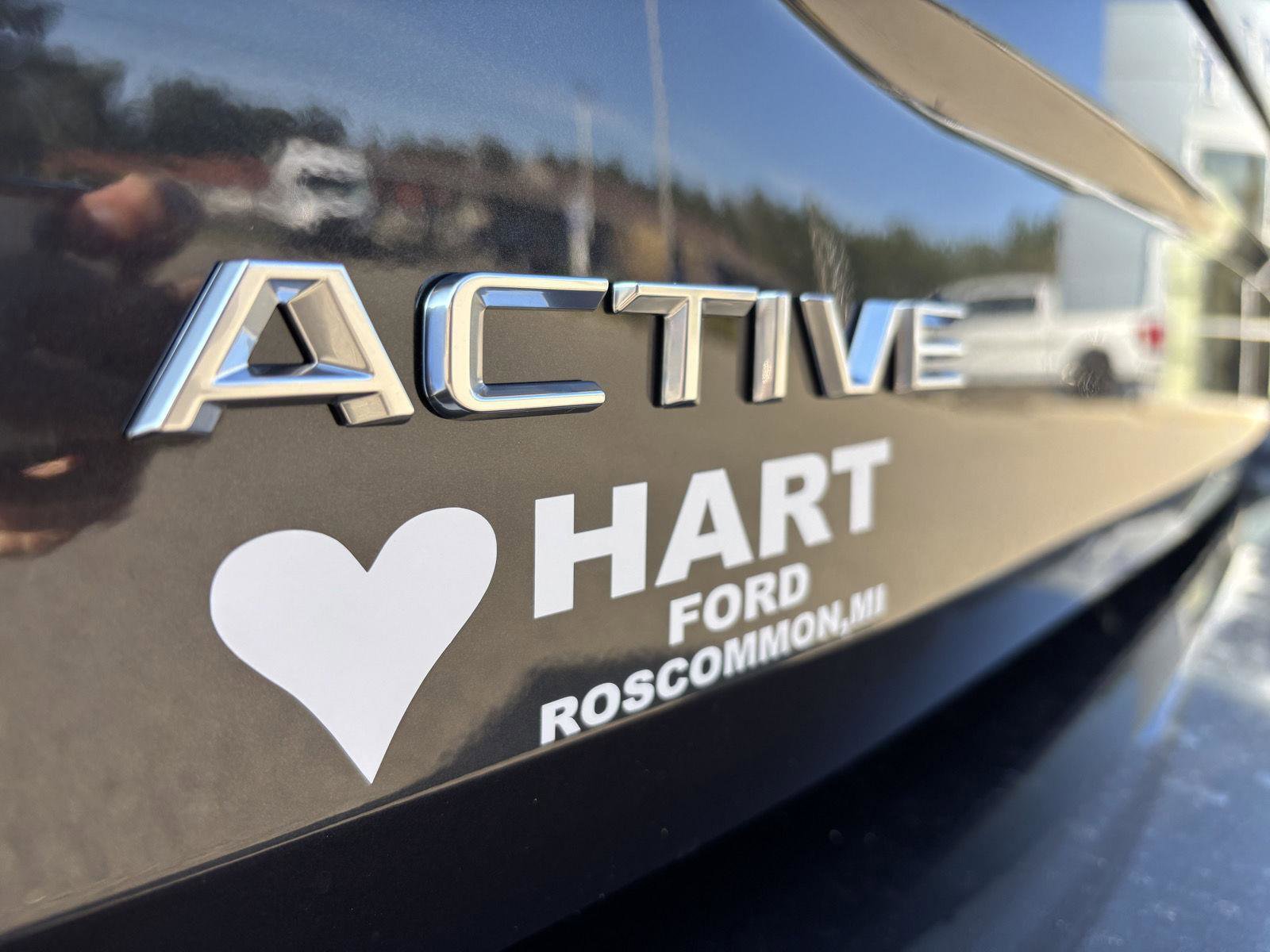 New 2025 Ford Expedition Active image 12