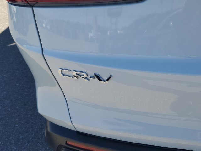 Used 2025 Honda CR-V EX-L image 7