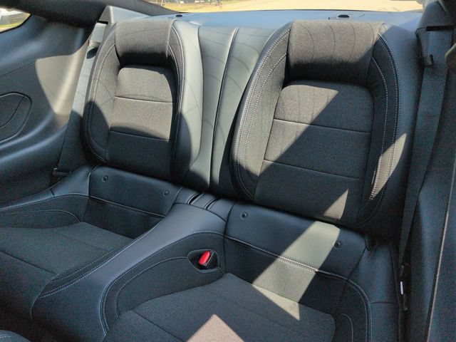 New 2026 Ford Mustang Coupe w/ Mustang Nite Pony Package RWD image 13