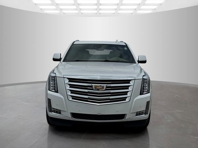 Used 2020 Cadillac Escalade Platinum RWD image 2