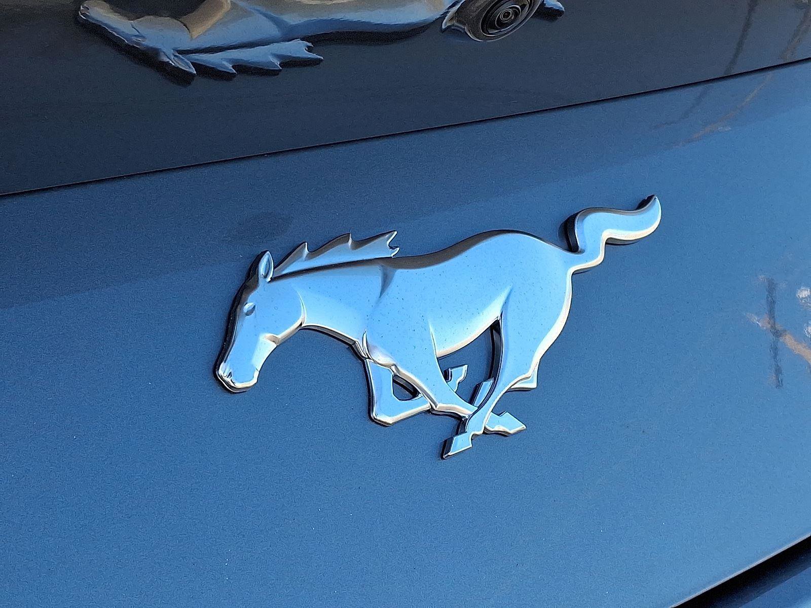 New 2026 Ford Mustang Coupe image 18