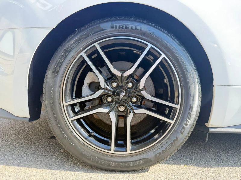 Used 2019 Ford Mustang Premium w/ Equipment Group 201A RWD image 30