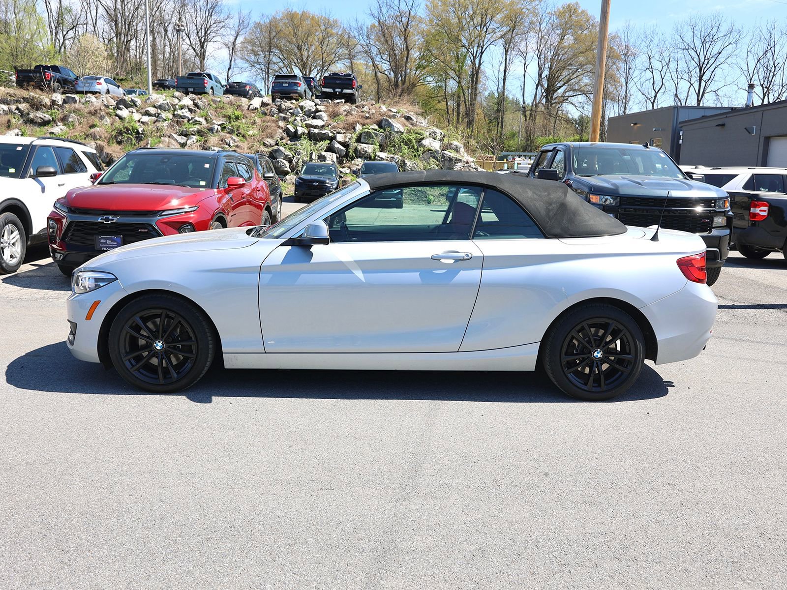 Used 2020 BMW 230i xDrive Convertible w/ Premium Package AWD/4WD image 4