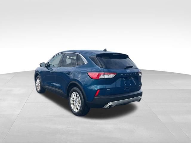 Used 2020 Ford Escape SE AWD/4WD image 3