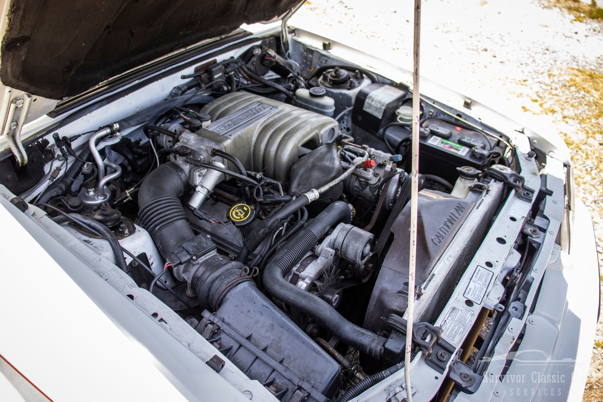 Used 1989 Ford Mustang LX RWD image 79