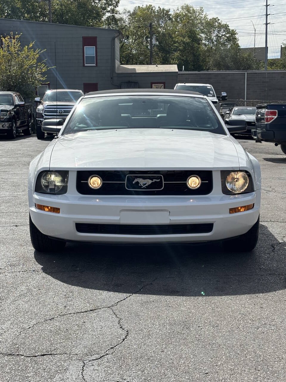Used 2008 Ford Mustang Premium RWD image 3