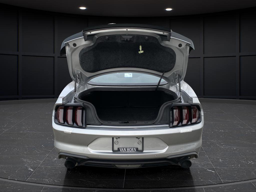 Used 2020 Ford Mustang EcoBoost w/ Equipment Group 101A image 9
