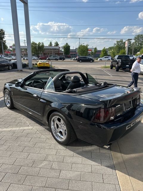 Used 2004 Ford Mustang Cobra RWD image 5